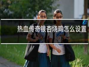 热血传奇银杏烧鸡怎么设置
