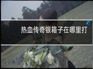 热血传奇银箱子在哪里打