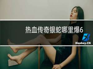 热血传奇银蛇哪里爆6