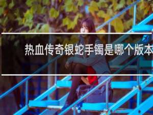 热血传奇银蛇手镯是哪个版本