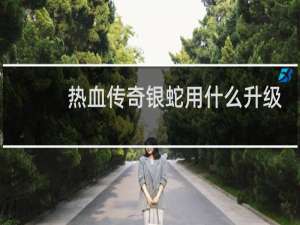 热血传奇银蛇用什么升级