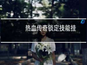 热血传奇锁定技能挂