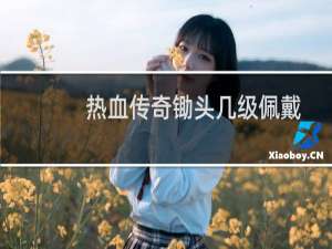 热血传奇锄头几级佩戴