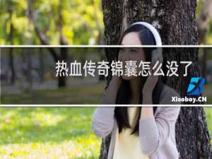 热血传奇锦囊怎么没了