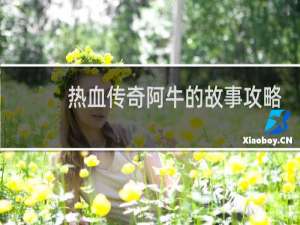 热血传奇阿牛的故事攻略