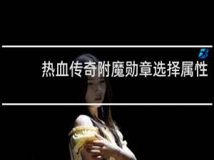 热血传奇附魔勋章选择属性