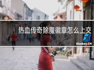 热血传奇除魔徽章怎么上交