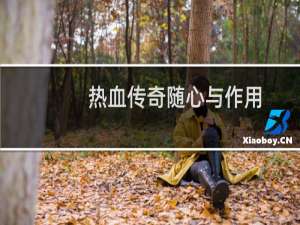 热血传奇随心与作用