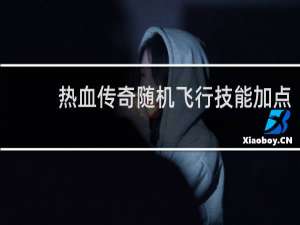 热血传奇随机飞行技能加点