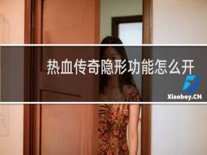 热血传奇隐形功能怎么开