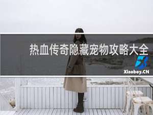 热血传奇隐藏宠物攻略大全