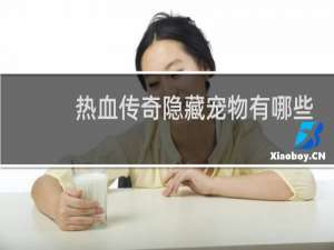 热血传奇隐藏宠物有哪些