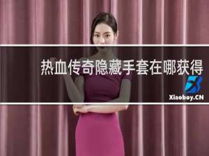 热血传奇隐藏手套在哪获得