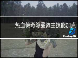 热血传奇隐藏教主技能加点