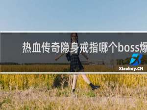 热血传奇隐身戒指哪个boss爆