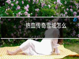 热血传奇雪域怎么