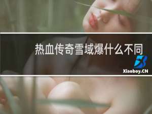 热血传奇雪域爆什么不同