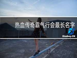 热血传奇霸气行会最长名字