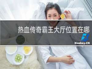 热血传奇霸王大厅位置在哪