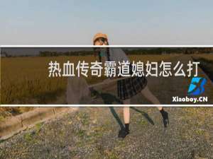 热血传奇霸道媳妇怎么打