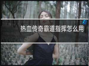 热血传奇霸道指挥怎么用