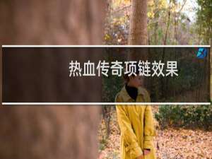 热血传奇项链效果