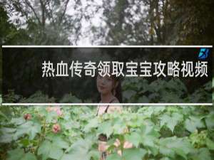 热血传奇领取宝宝攻略视频