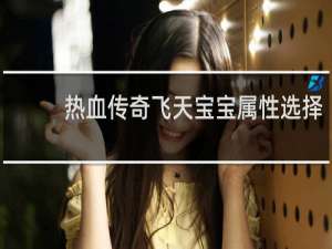 热血传奇飞天宝宝属性选择