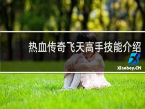 热血传奇飞天高手技能介绍