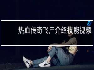 热血传奇飞尸介绍技能视频