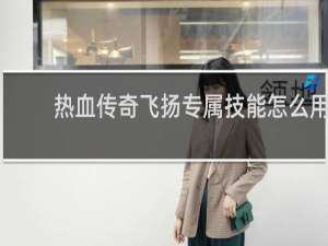 热血传奇飞扬专属技能怎么用