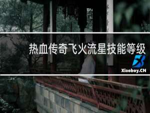 热血传奇飞火流星技能等级