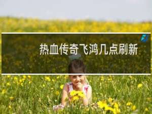 热血传奇飞鸿几点刷新