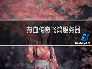 热血传奇飞鸿服务器