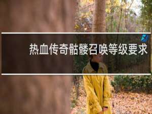 热血传奇骷髅召唤等级要求