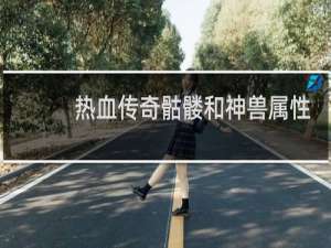 热血传奇骷髅和神兽属性