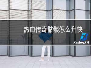 热血传奇骷髅怎么升快