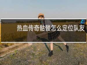 热血传奇骷髅怎么定位队友