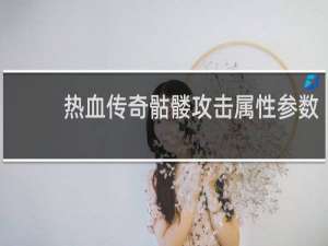 热血传奇骷髅攻击属性参数