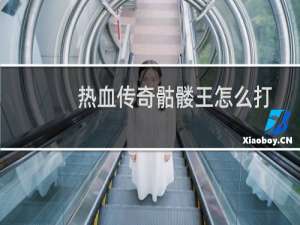 热血传奇骷髅王怎么打