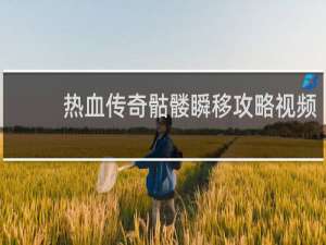 热血传奇骷髅瞬移攻略视频