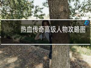 热血传奇高级人物攻略图