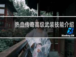 热血传奇高级武装技能介绍