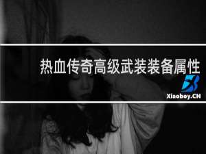 热血传奇高级武装装备属性