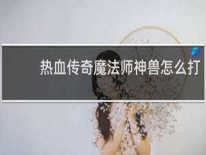 热血传奇魔法师神兽怎么打