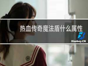 热血传奇魔法盾什么属性