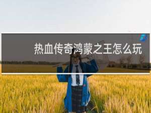 热血传奇鸿蒙之王怎么玩