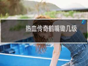 热血传奇鹤嘴锄几级