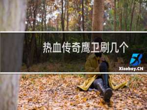 热血传奇鹰卫刷几个