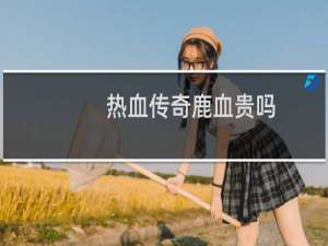热血传奇鹿血贵吗